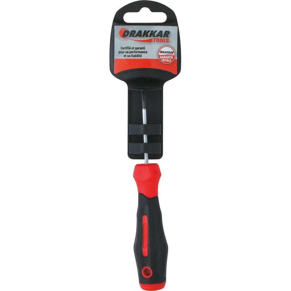 Tournevis plat lame droite 2,5x50mm - carte DRAKKAR TOOLS - 69077