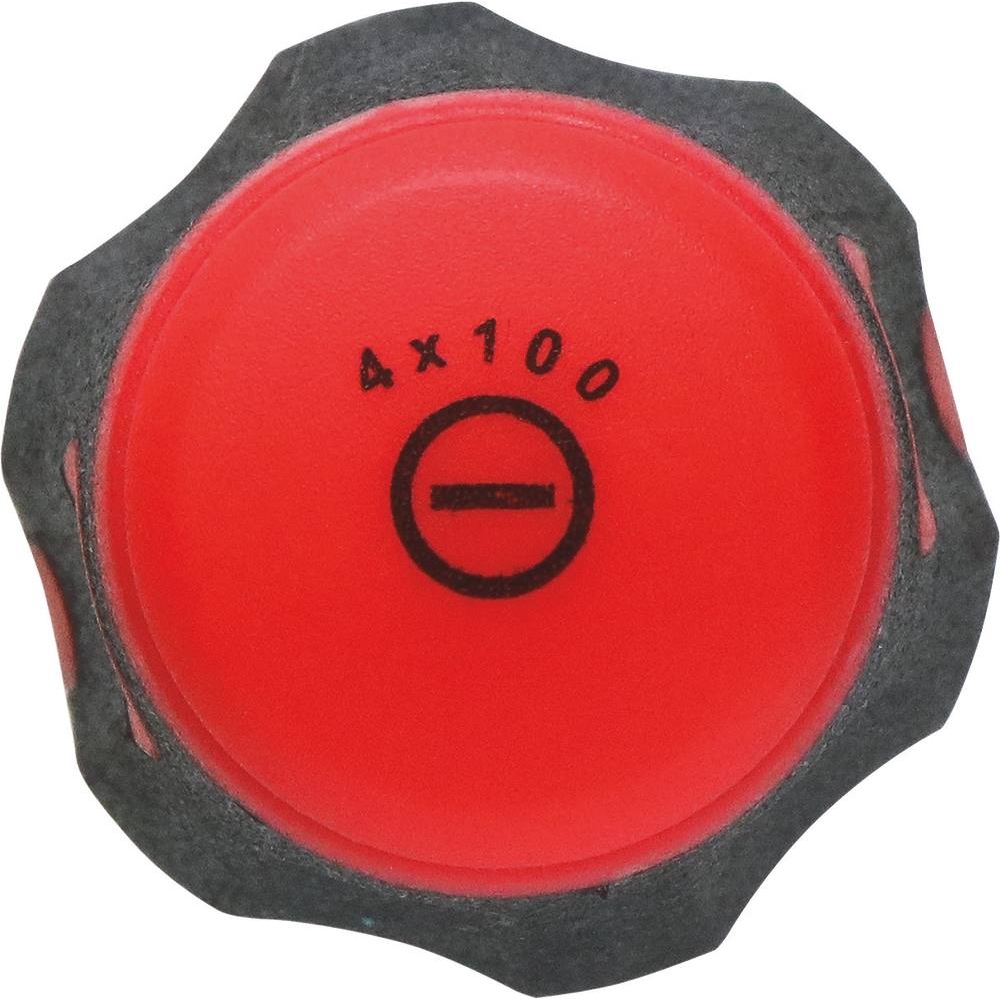 Tournevis plat lame droite 4x100mm DRAKKAR TOOLS - 69080