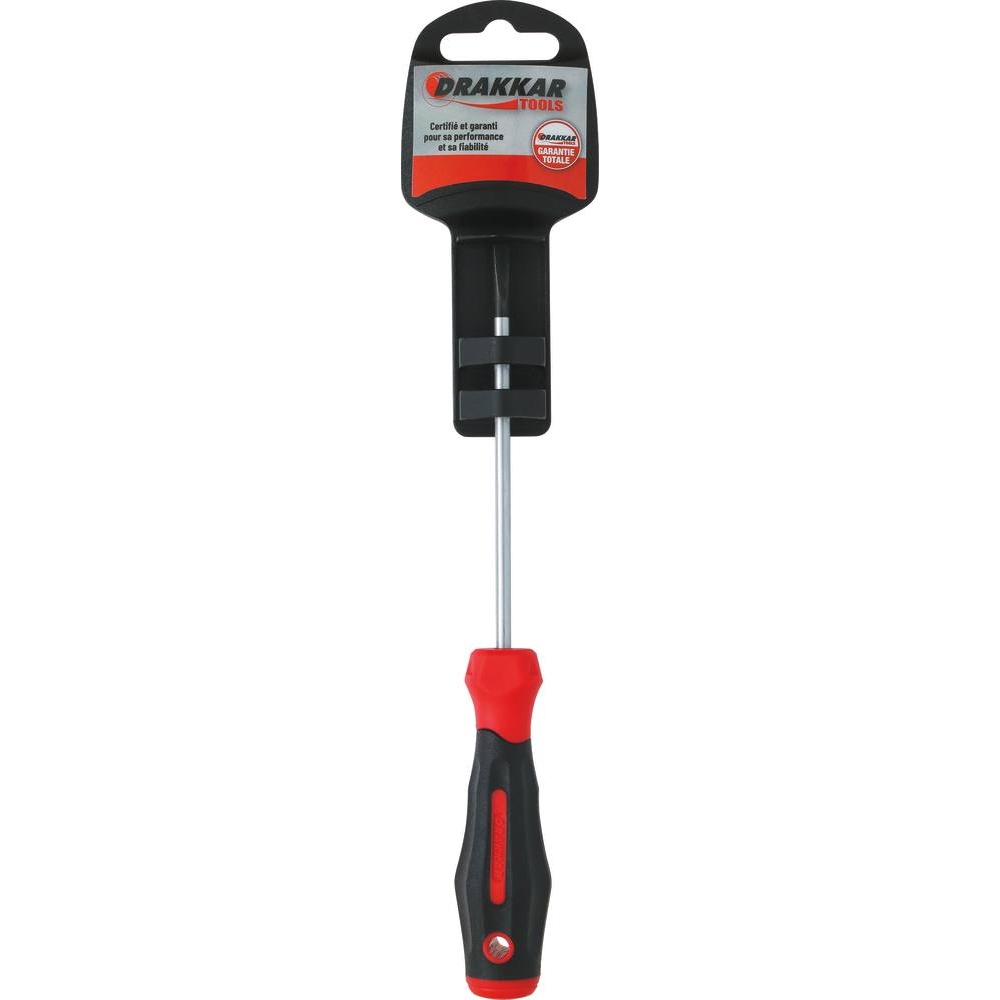 Tournevis plat lame droite 4x100mm - carte DRAKKAR TOOLS - 69081