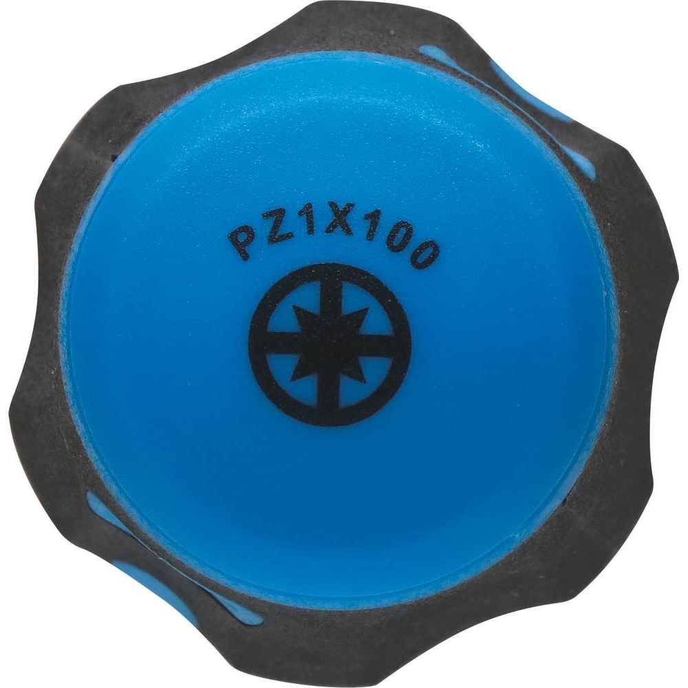 Tournevis Pozidriv PZ1 100mm DRAKKAR TOOLS - 69379