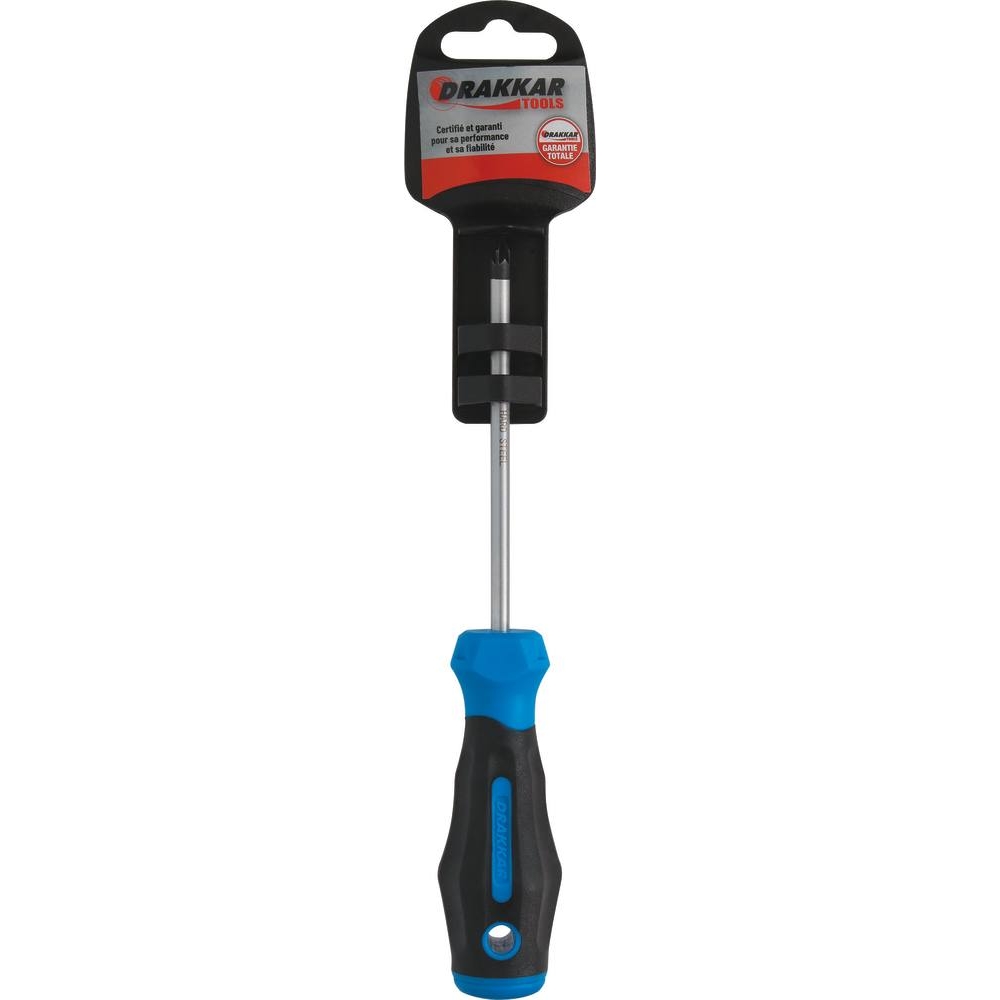 Tournevis Pozidriv PZ1 100mm - carte DRAKKAR TOOLS - 69380