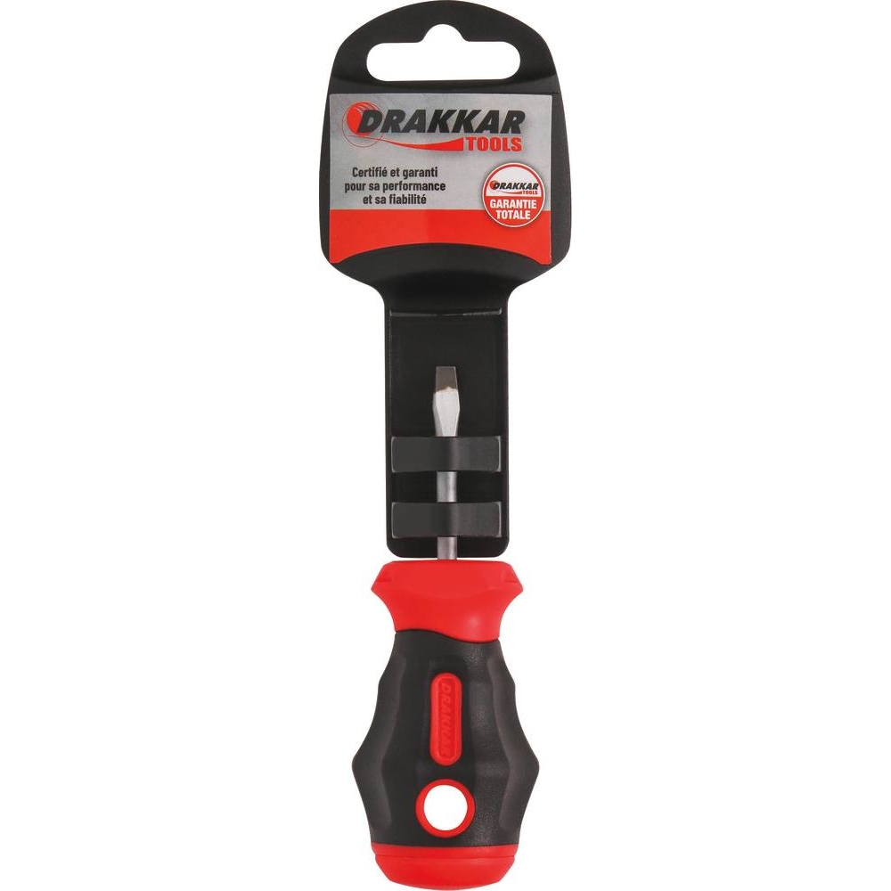 Tournevis plat tom pouce 4x38mm - carte DRAKKAR TOOLS - 69649