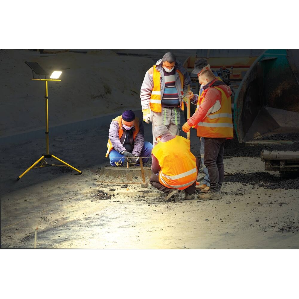 Projecteur LED solaire 1500 lumens 10W avec détecteur et télécommande - Panneau déporté DRAKKAR - 82462