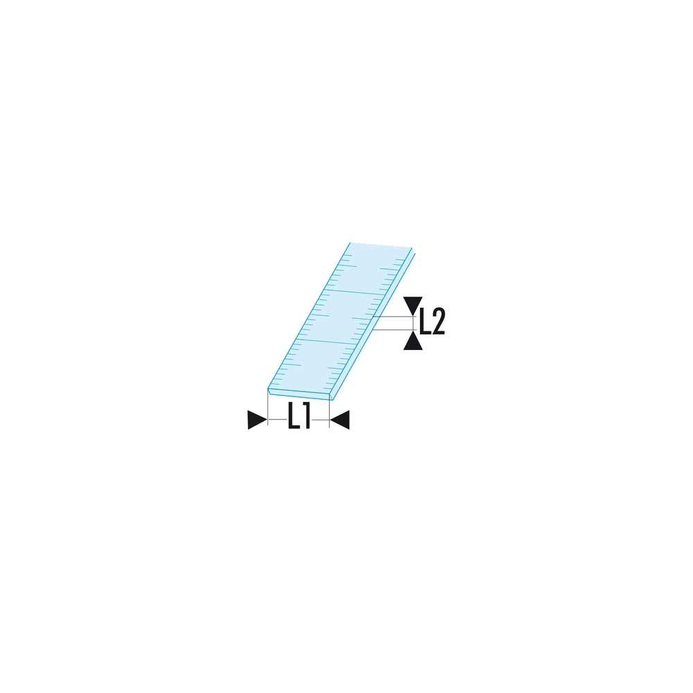 Réglet long semi-rigide Inox 1 face 1000 mm - Par 10 - FACOM - DELA.1056.1000