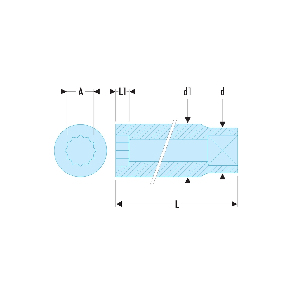 Douille 12 pans en pouces, 3/8
