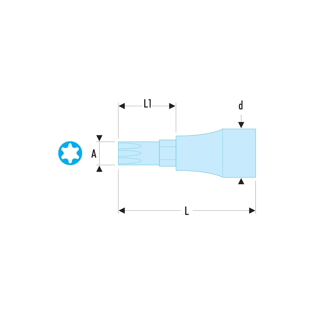Douilles tournevis pour vis Torx 1/2