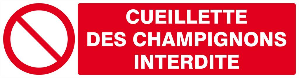 Panneau rigide CUEILLETTE DES CHAMPIGNONS INTERDITE 200x52mm TALIAPLAST - 620221