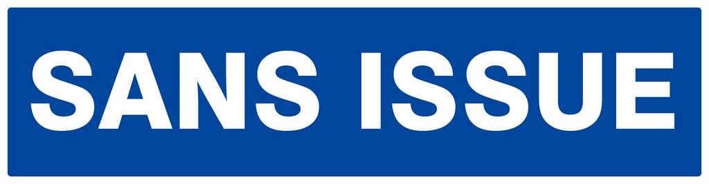 Panneau rigide SANS ISSUE 200x52mm TALIAPLAST - 620627