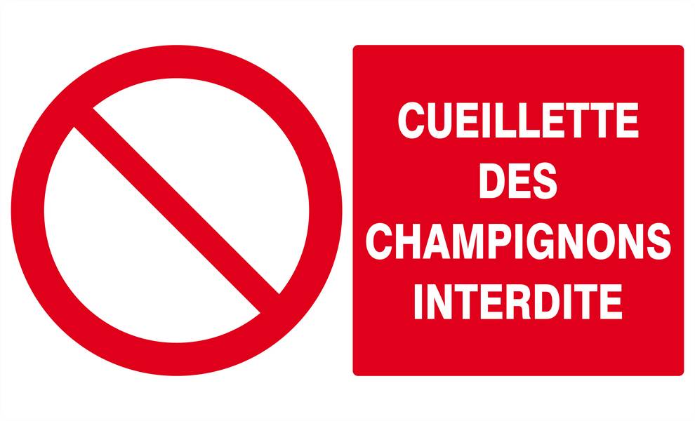 Panneau rigide CUEILLETTE DES CHAMPIGNONS INTERDITE 330x200mm TALIAPLAST - 621221