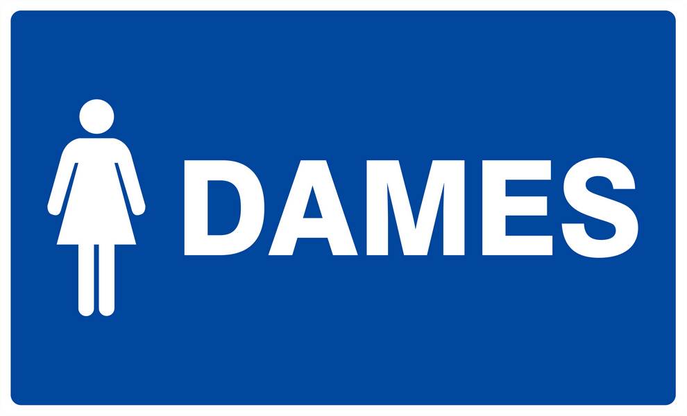 Panneau rigide TOILETTES DAMES 330x200mm TALIAPLAST - 621647