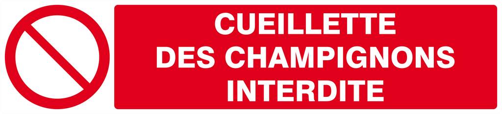 Panneau rigide CUEILLETTE DES CHAMPIGNONS INTERDITE 330x75mm TALIAPLAST - 625221