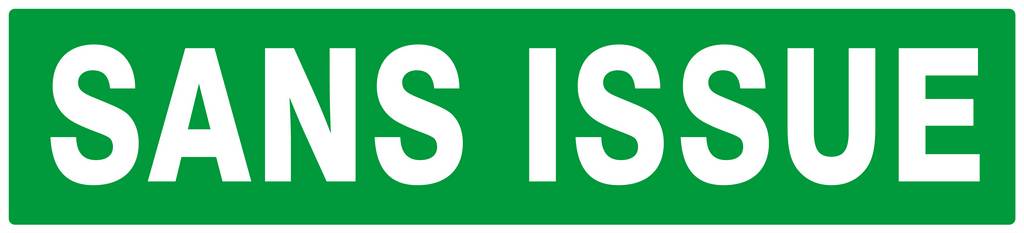 PANNEAU SANS ISSUE (SECOURS) 330X75MM TALIAPLAST - 625416