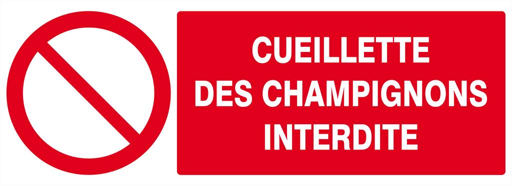 Panneau rigide CUEILLETTE DES CHAMPIGNONS INTERDITE 330X120MM TALIAPLAST - 626221
