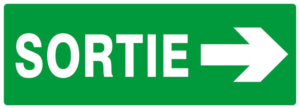 PANNEAU SORTIE FLECHE A DROITE 330X120MM TALIAPLAST - 626401