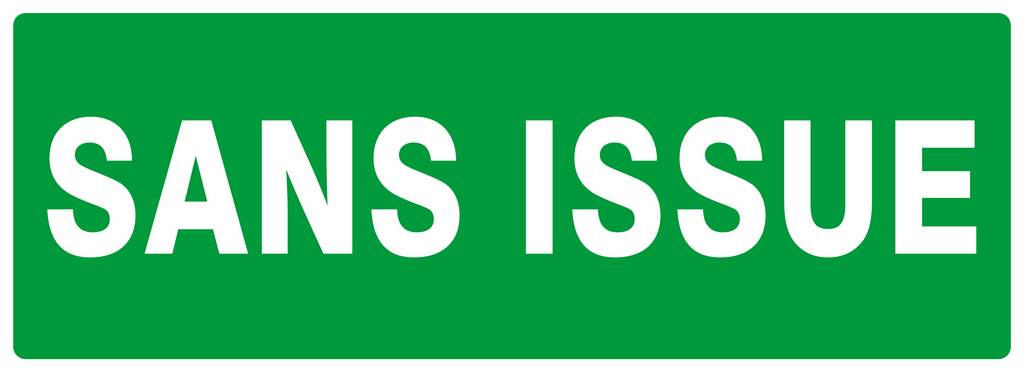 PANNEAU SANS ISSUE (SECOURS) 330X120MM TALIAPLAST - 626415