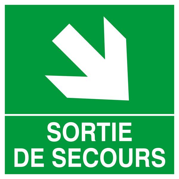 PANNEAU SORTIE DE SECOURS FLECHE EN BAS A DROITE 200X200MM TALIAPLAST - 628411
