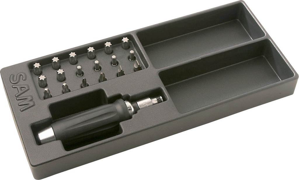 MODULE TOURNEVIS A FRAPPER SAM OUTILLAGE - 270AJ20M