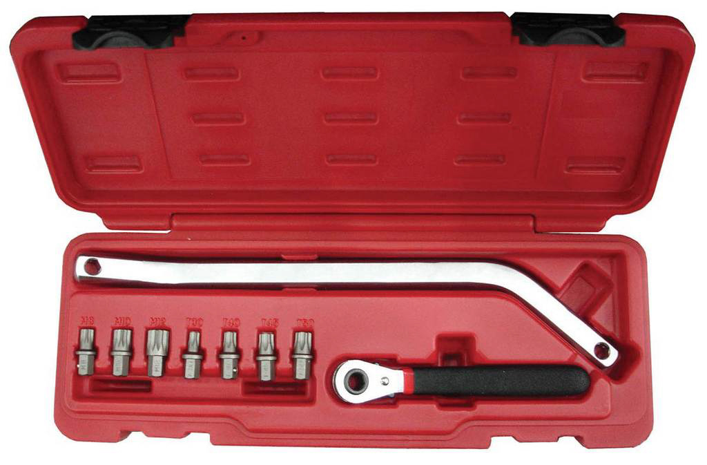 POIGNEE LONGUE ET EMBOUTS TORX 30-40-45-50 ET XZN 8-10-12 SAM OUTILLAGE - 99PA20