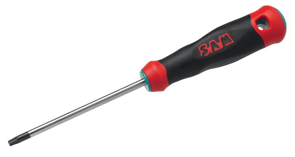 TOURNEVIS BIMATIERE S1 TORX PERCE T10 SAM OUTILLAGE - T10R80