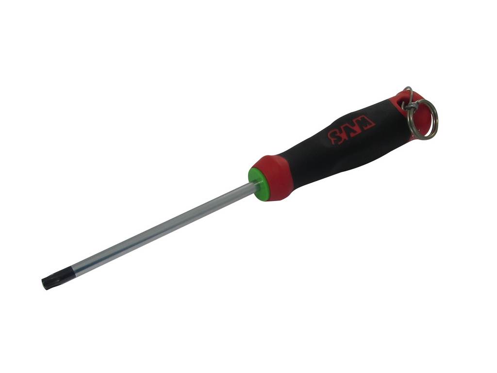 TOURNEVIS BIMATIERE S1 TORX T20 SAM OUTILLAGE - T20X100FME