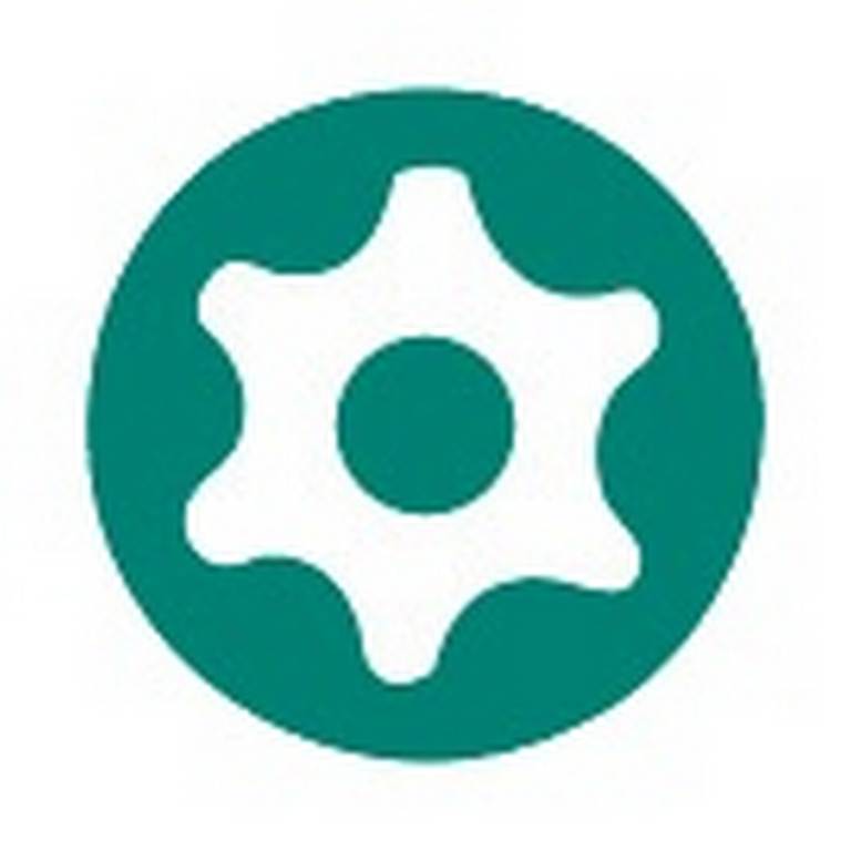 TOURNEVIS BIMATIERE S1 TORX PERCE T30 SAM OUTILLAGE - T30R115