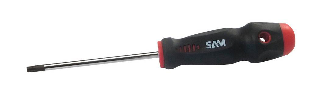 TOURNEVIS TORX 25X100MM SAM OUTILLAGE - TA25X100