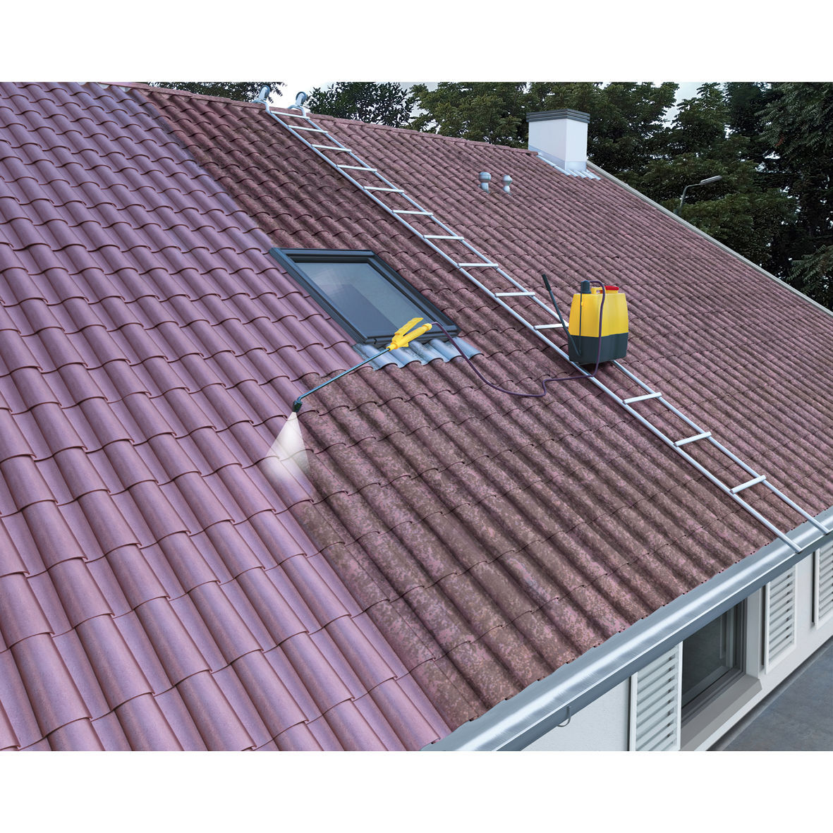 ALGICIDE ET FONGICIDE EN BIDON DE 20L DE SIKAGARD-130 STOP ALGUES PRO - SIKA - 698563