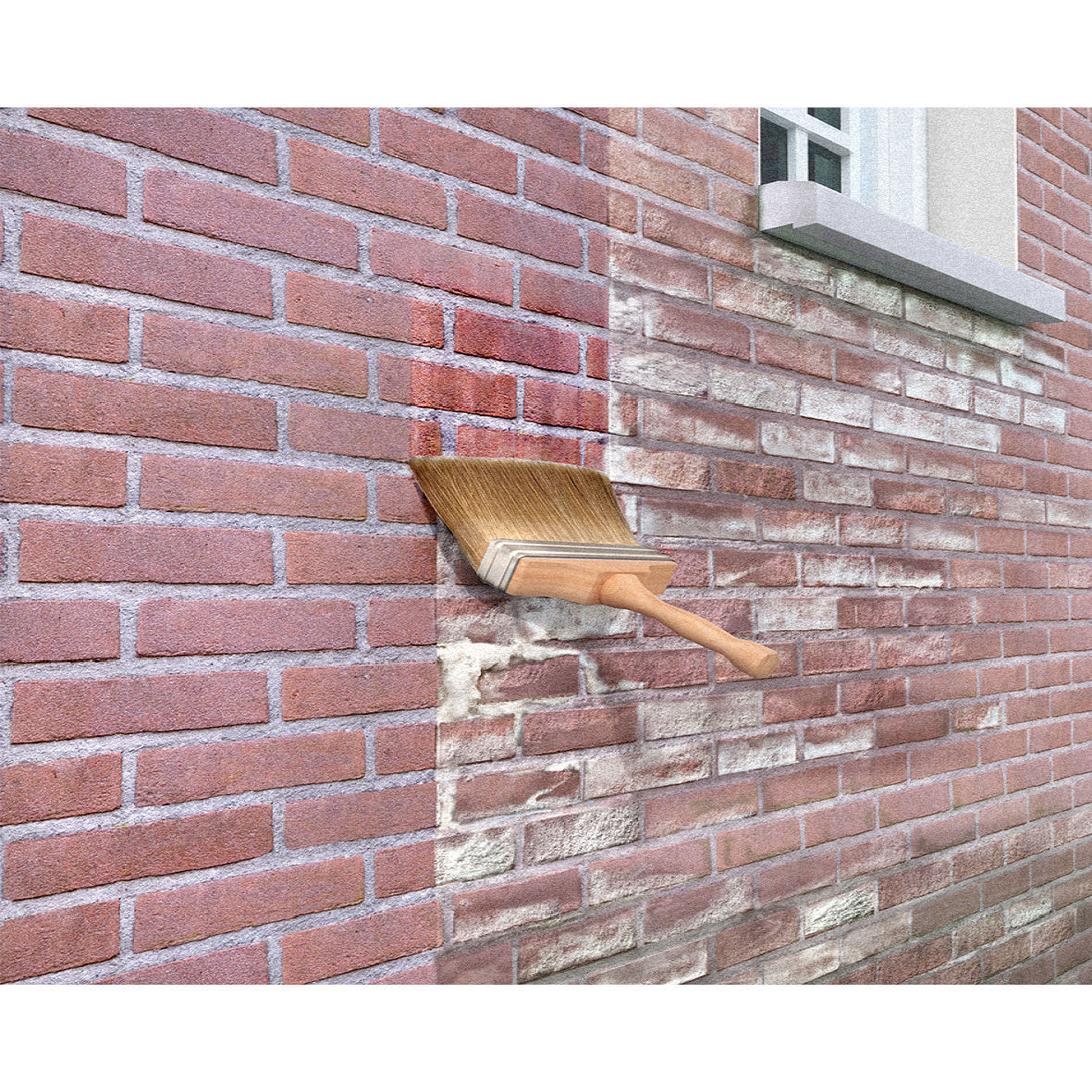 BACTÉRICIDE PACK DE 4 BIDONS DE 5L DE SIKAGARD-165 STOP SALPÊTRE - SIKA - 705435