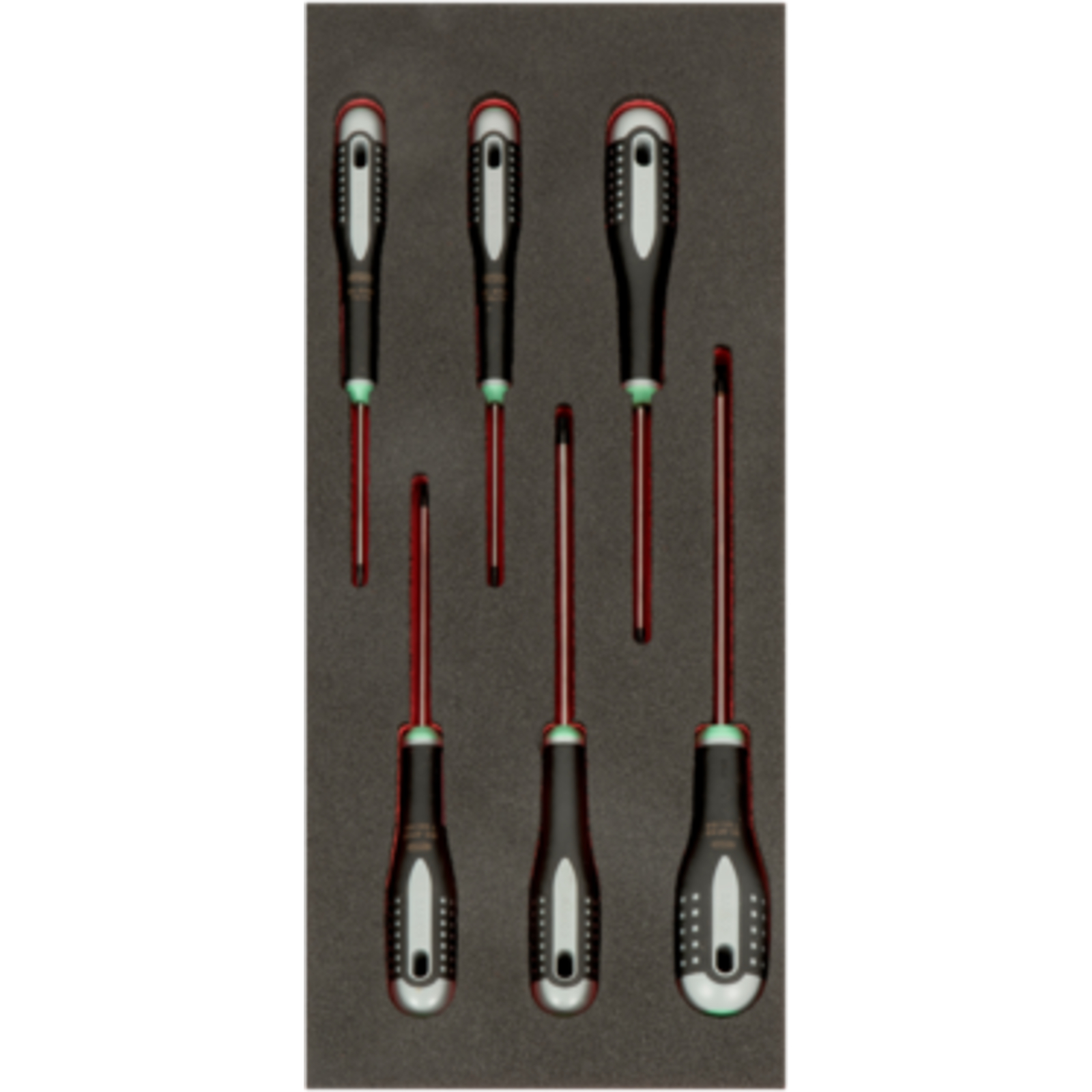Module mousse Fit&Go 1/3 tournevis TORX T8-T30 6 pièces BAHCO - FF1E1009EH