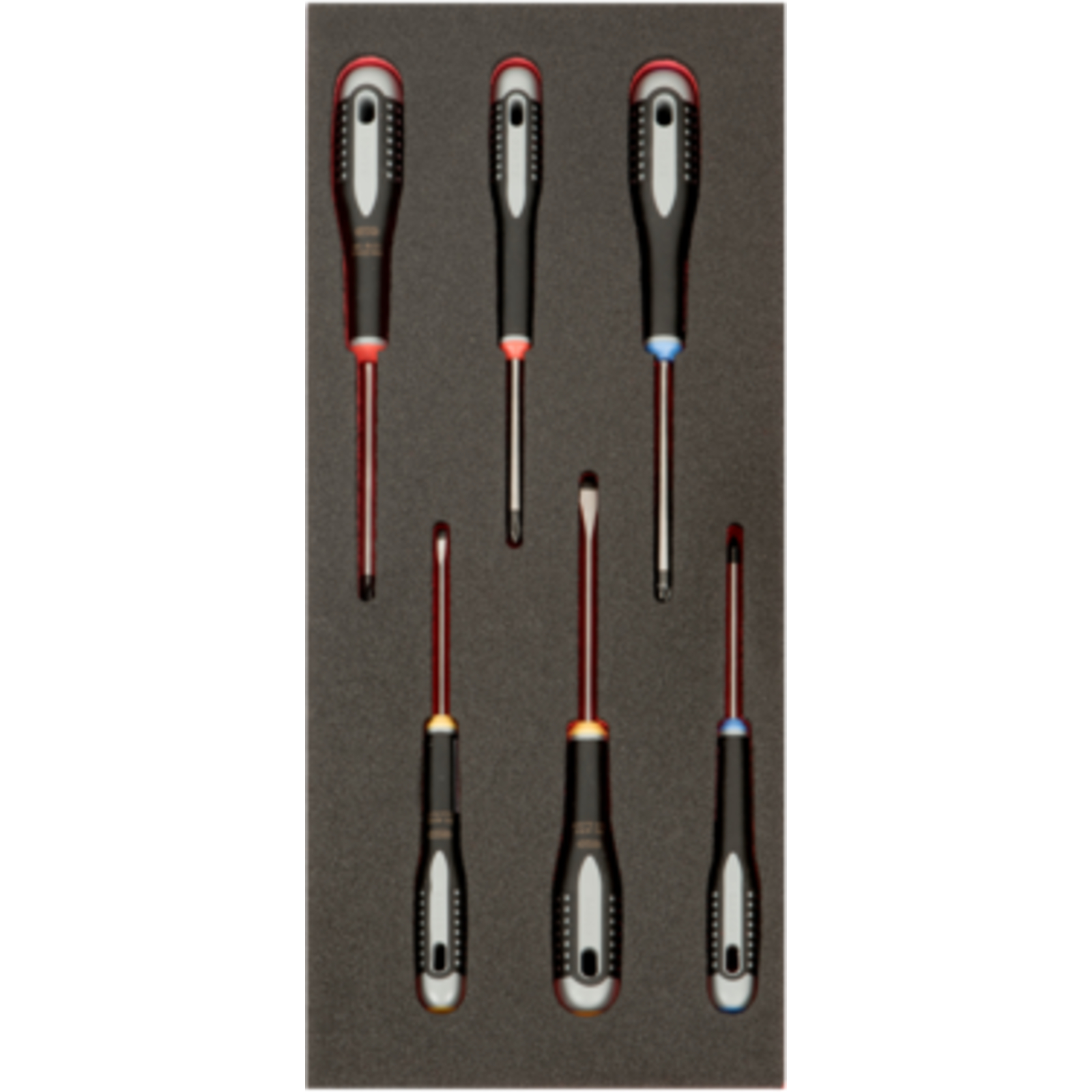 Module mousse Fit&Go 1/3 6 tournevis ERGO bicolore avec système Push BAHCO - FF1E1012EH