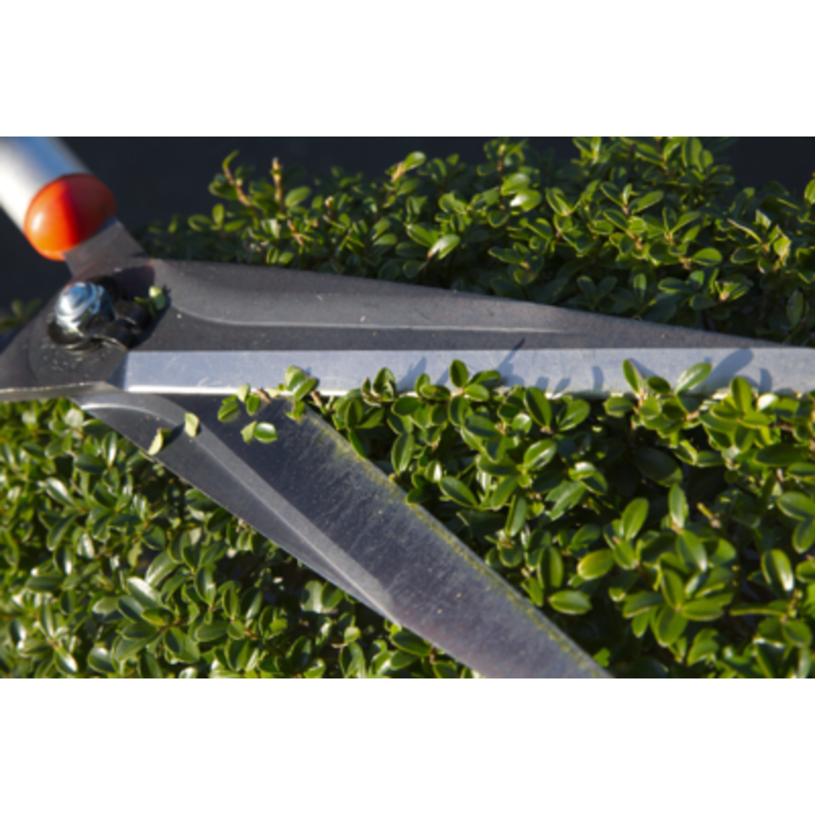 Cisaille de précision lame 180 mm manches aluminium avec étui BAHCO - P52-SL-20