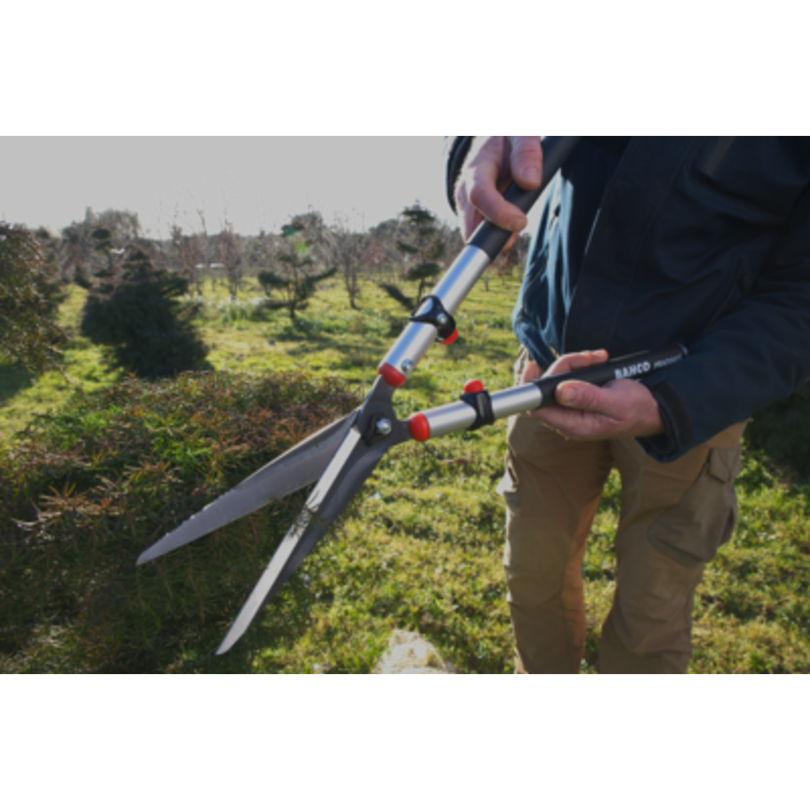 Cisaille de précision lame 180 mm manches aluminium avec étui BAHCO - P52-SL-20