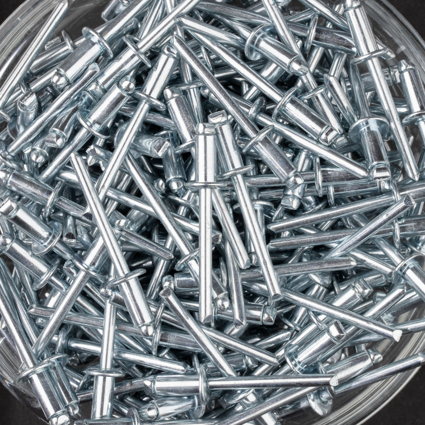 250 rivets standards à acier/acier à tête plate à Ø4,8x10mm - SCELL-IT - SD4810