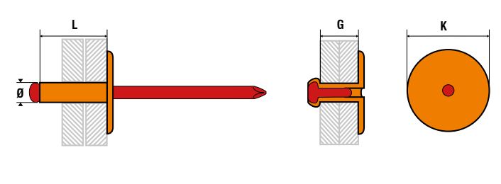 250 rivets standards à aluminium/acier à tête extra large à Ø4,8x16mm - SCELL-IT - ASX4816