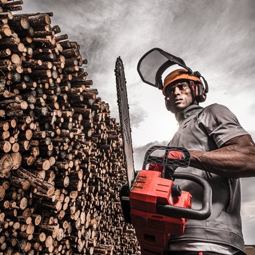 ÉCRAN PROTECTION GRILLAGEE BOLT MILWAUKEE - 4932479940