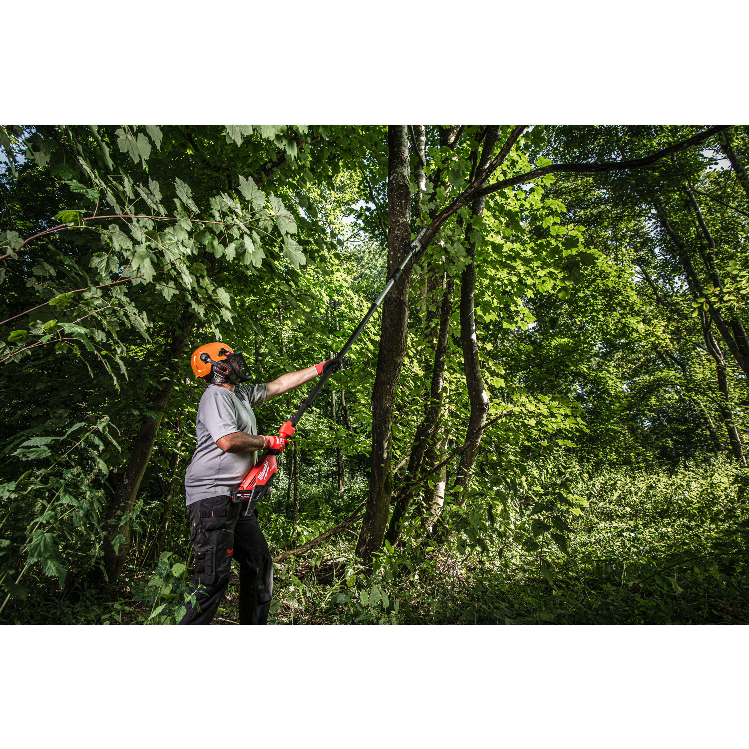 PERCHE D'ÉLAGAGE TÉLESCOPIQUE 30CM M18 FTPS30-0 - MILWAUKEE - 4933480868