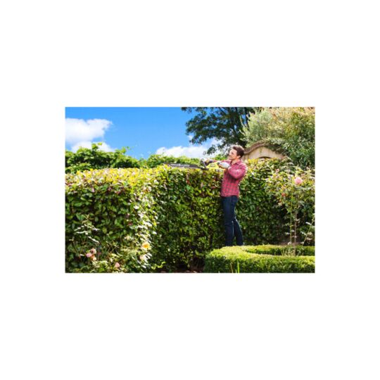 Taille Haies hybride RYOBI 18V One+ batterie et chargeur RHT1850H25HS - 5133003660 