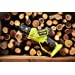 Élagueur à main RYOBI RY18LMH37LT25-250 18V ONE + HP Brushless - 5133005434