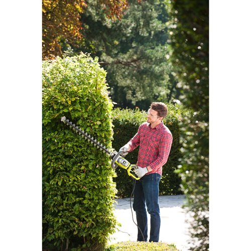 Taille-haies RYOBI 800W RHT8165RL - 5133003649