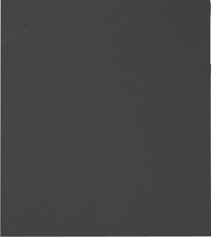 Feuilles Abrasives IMPERMEABLE -230x280mm (Vrac) / Dim 230x280 / Gr : 800 TIVOLY - XT10134013134