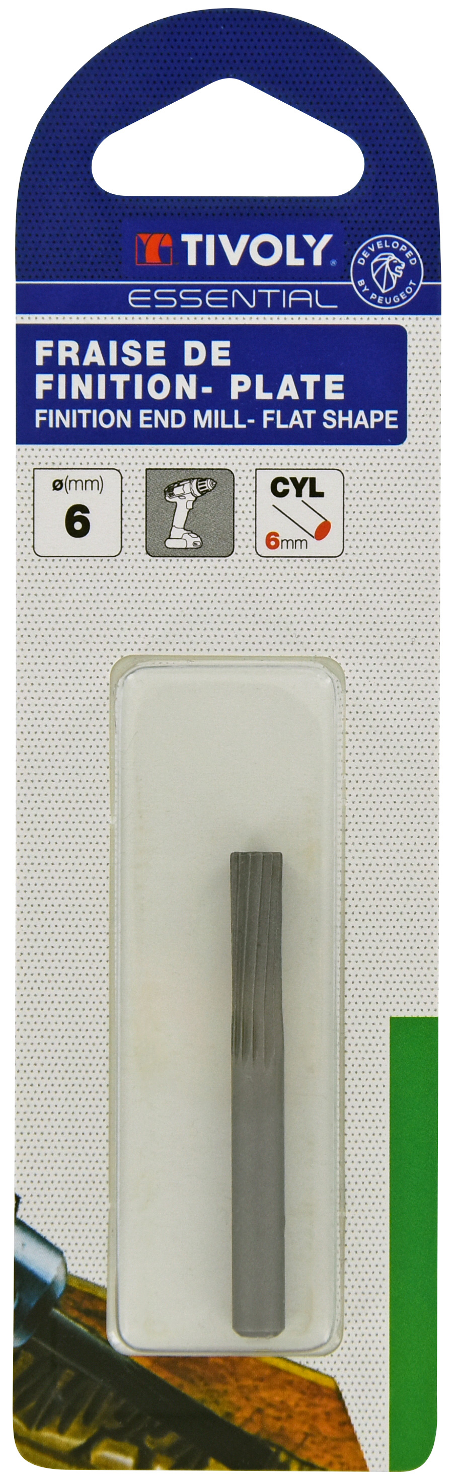 Rape sur tige bout plat Ø 6mm TIVOLY - XT60672000501