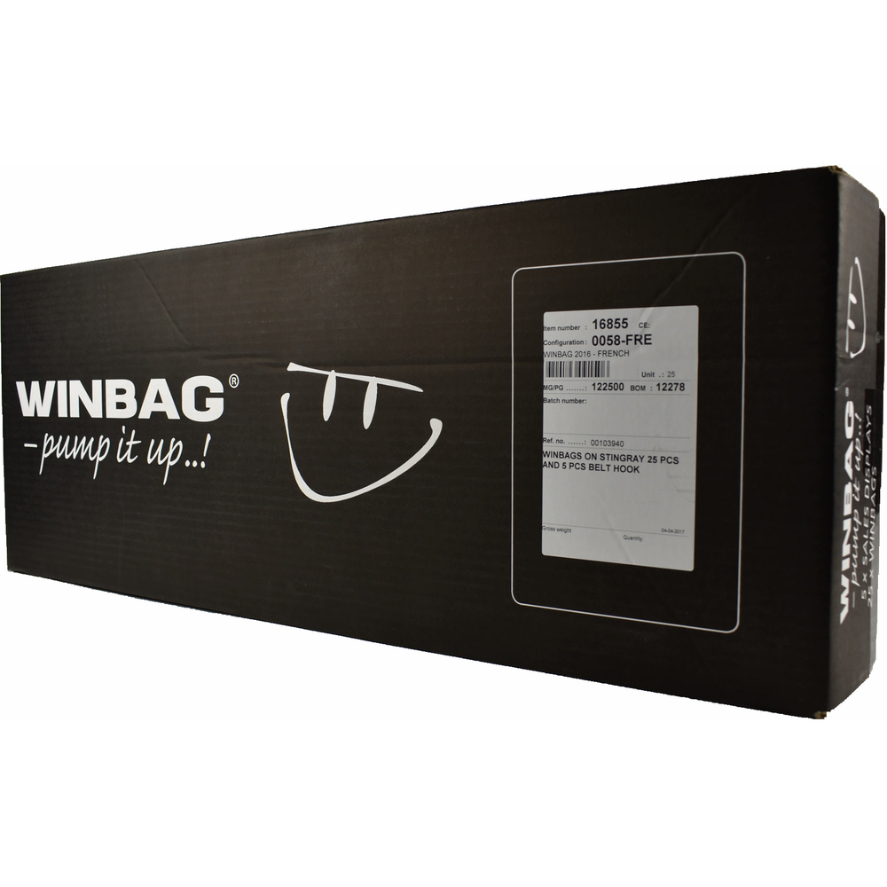 Carton de 25 WINBAG 160x3x150 TRAMICO - 2990250000