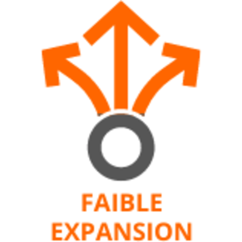 12 aérosols 750ml mousse PU expansive ELASTISOL TRAMICO - 2990520000