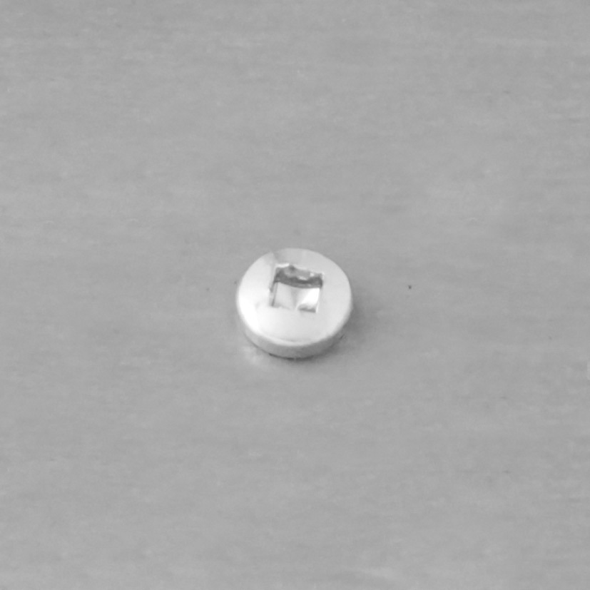 500 vis autop. inox A2 - tête cylindrique - empreinte carrée - Ø3,9x13mm - SCELL-IT - TCQN39013