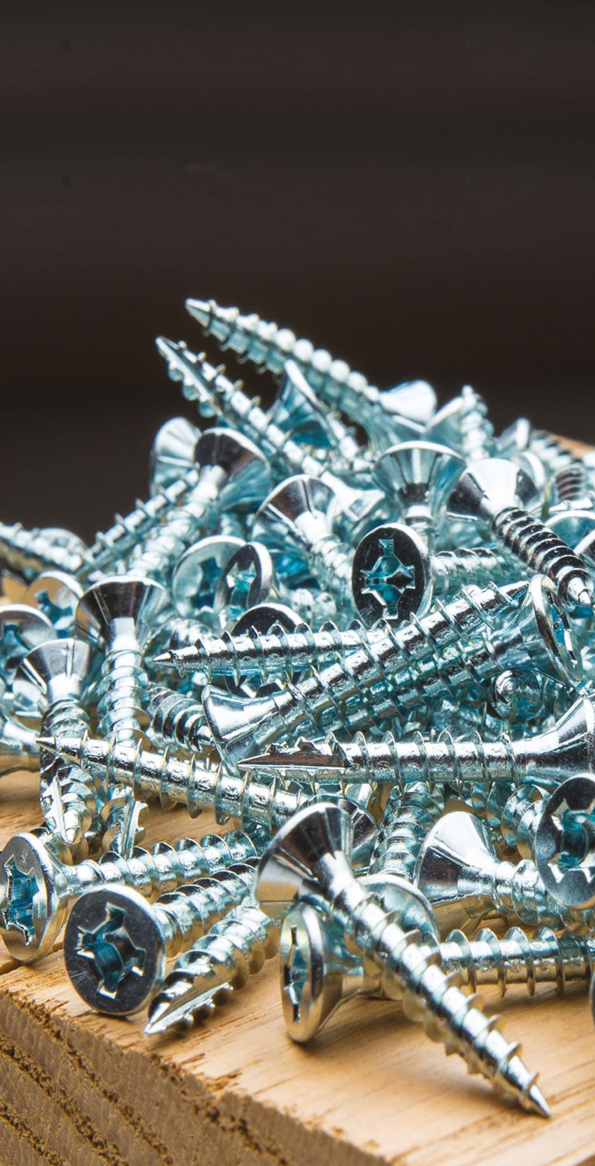 500 vis bois hautes performances - acier zingué - tf - empreinte TS - Ø4x25mm - SCELL-IT - TS40025-BC