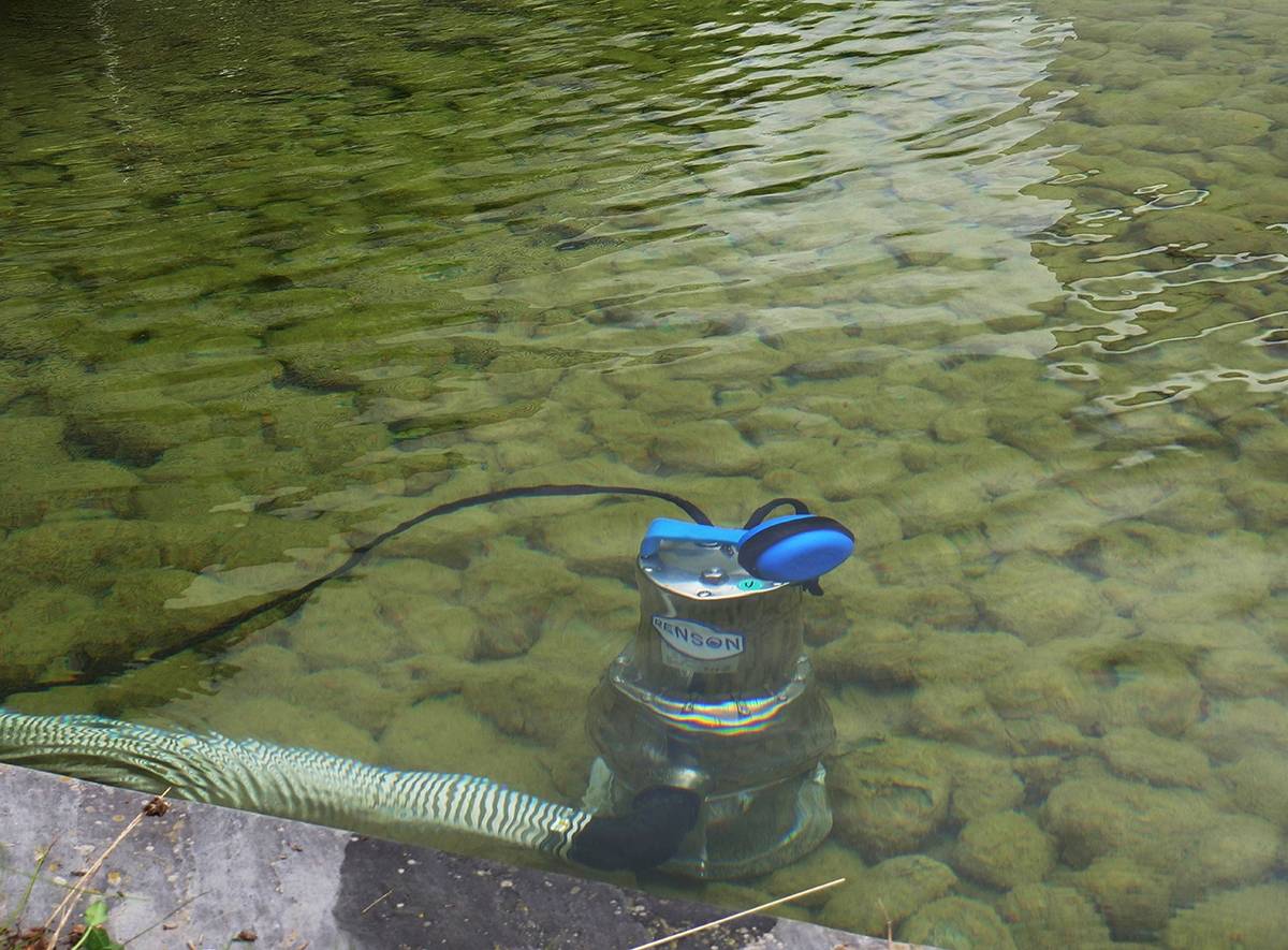 POMPE DE RELEVAGE 230V 0,75KW INOX EAUX CHARGEES - RENSON - 111080