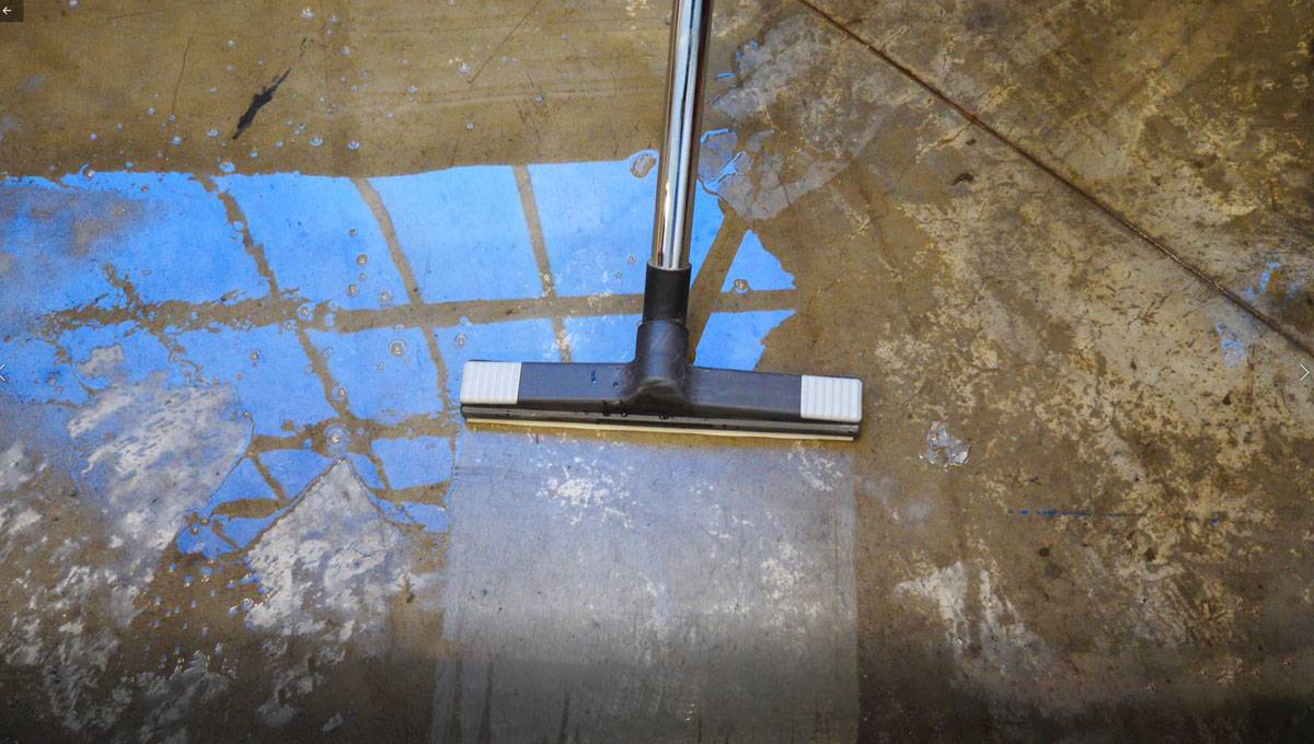 ASPIRATEUR I652 EAU&POUSSIÈRE CUVE INOX 65L - 2 MOTEURS - RENSON - 159741