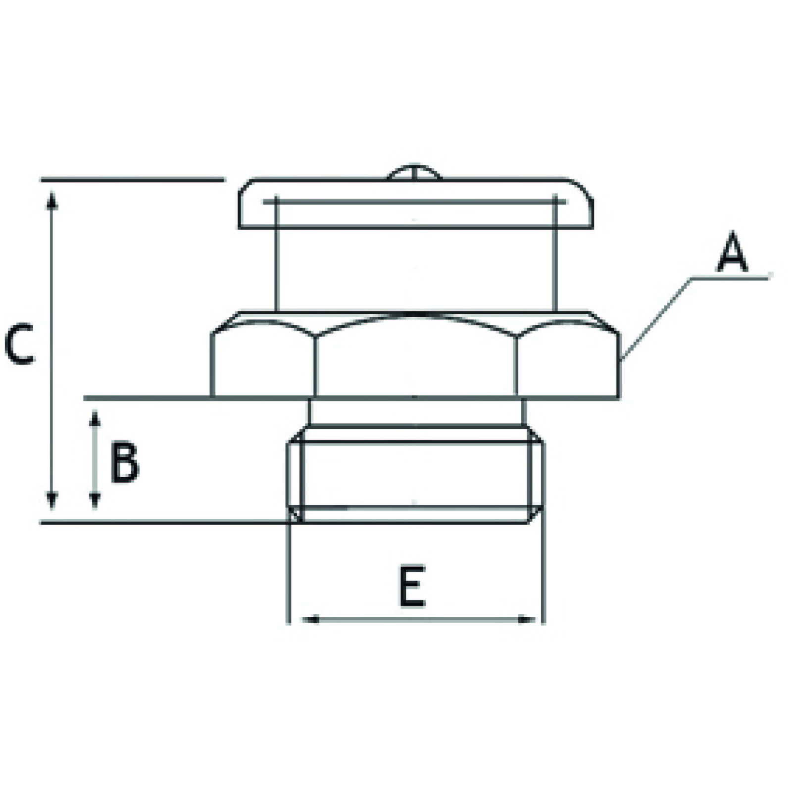 Graisseur bec Droit 10 X 125 RENSON - 970006