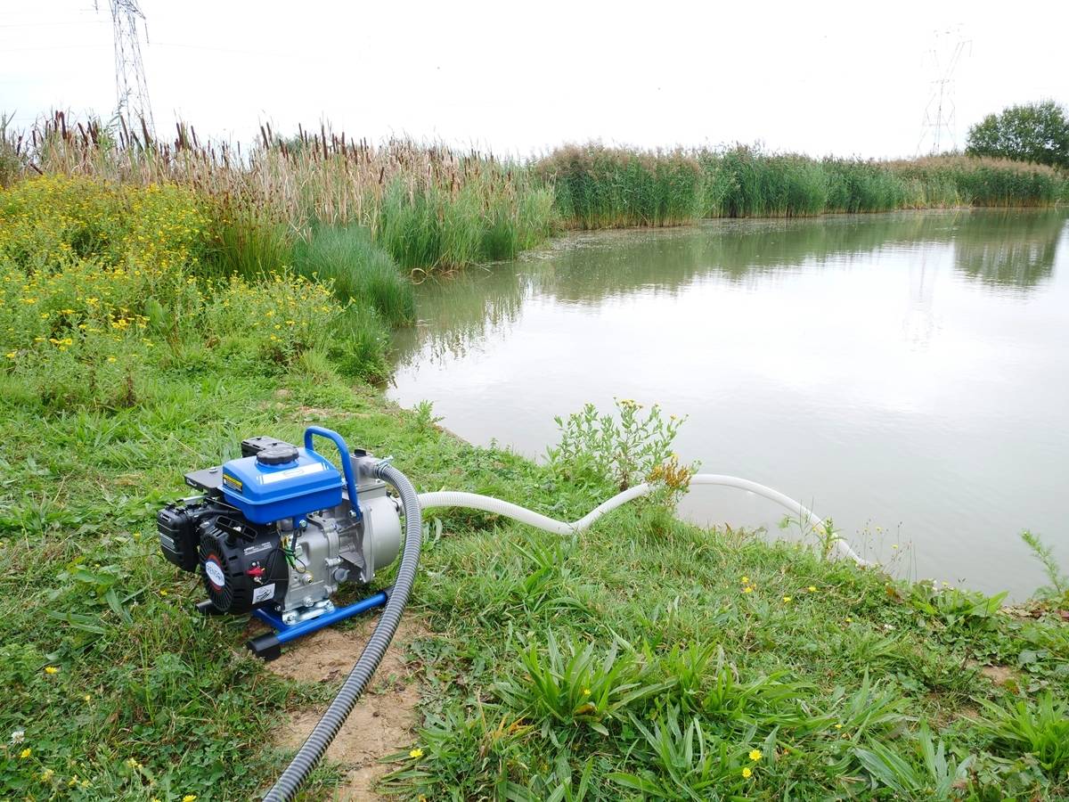 MOTOPOMPE EAUX CLAIRES 12M3/H MAXI - RENSON - 980500