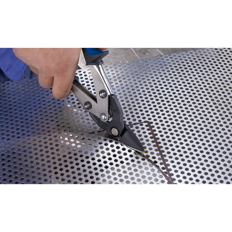 Bichantourneuse et à coupe continue, maniable BESSEY - D08LSB